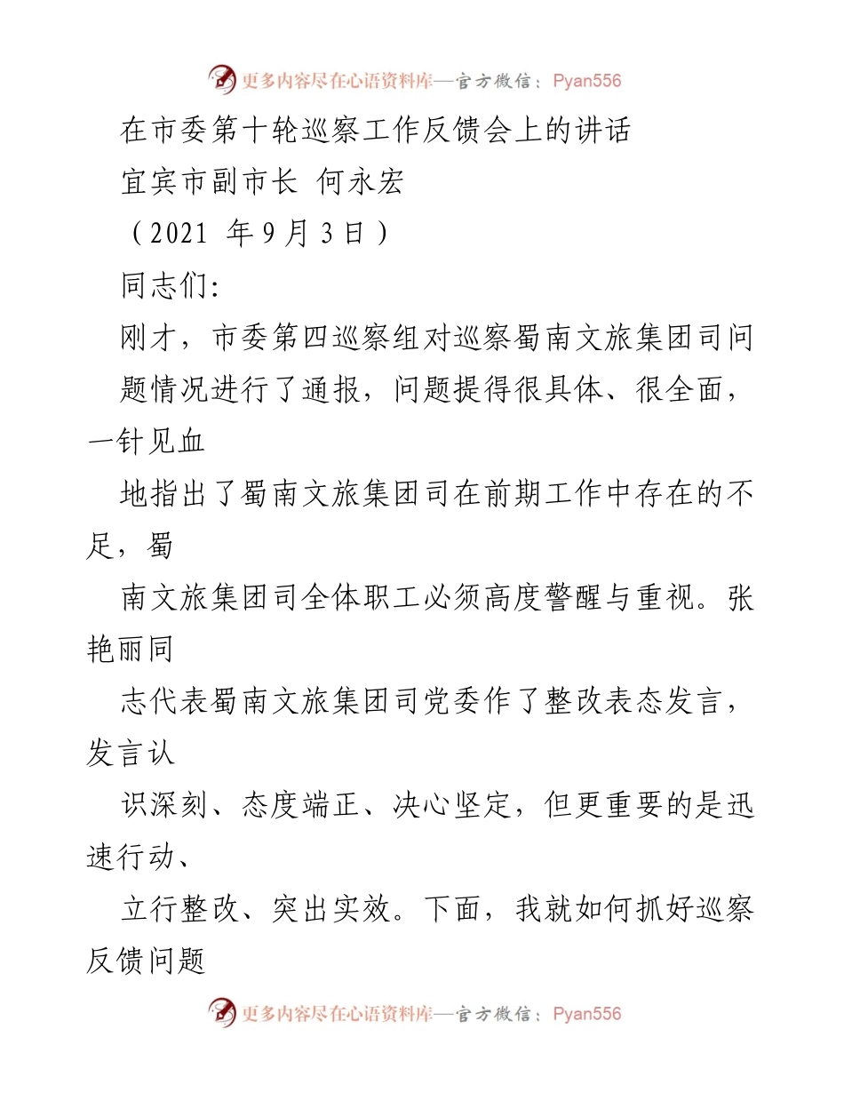 [发言] 巡察工作反馈会 - 巡察整改工作的重要性与落实要求.docx_第1页