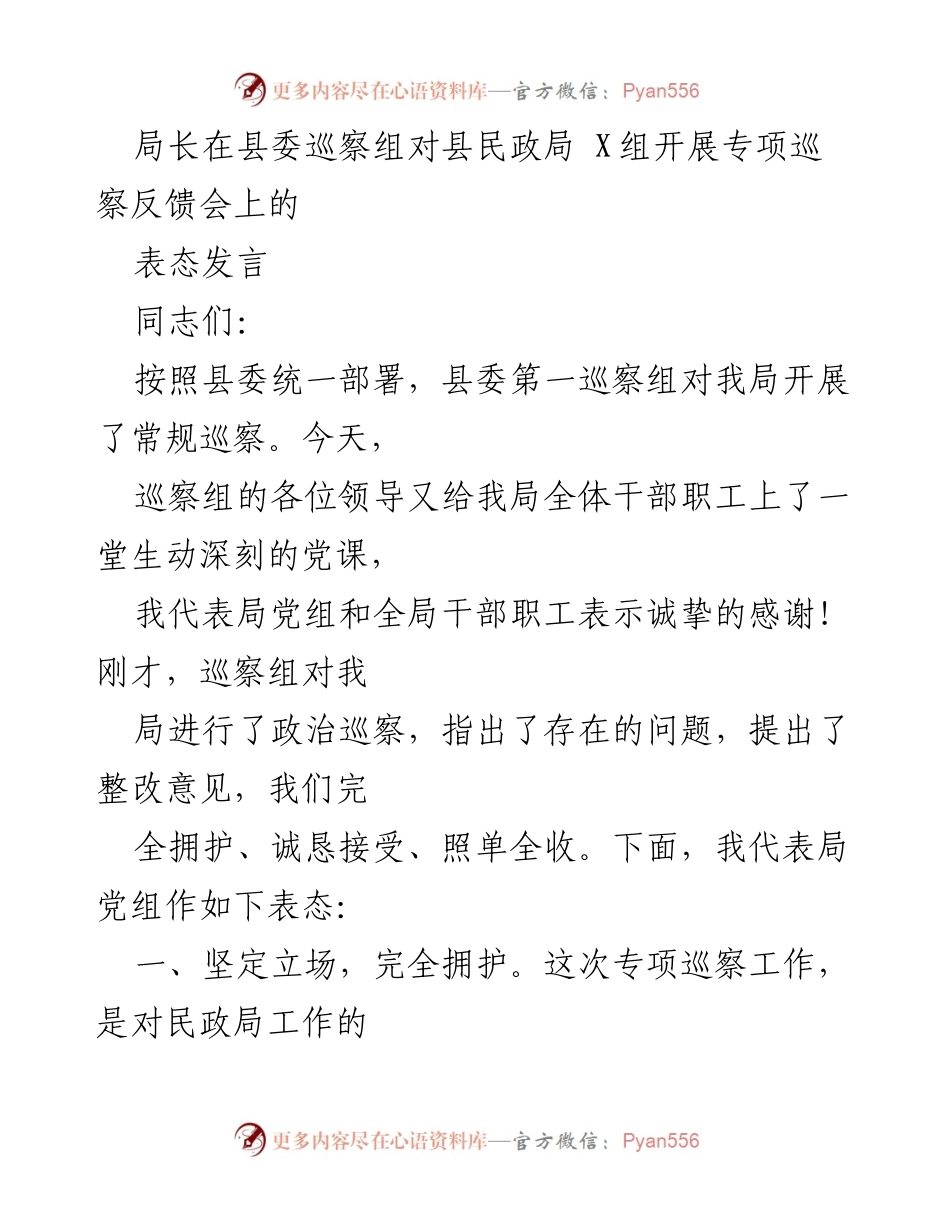 [发言] 巡察反馈会 - 民政局对巡察反馈的表态与整改承诺.docx_第1页