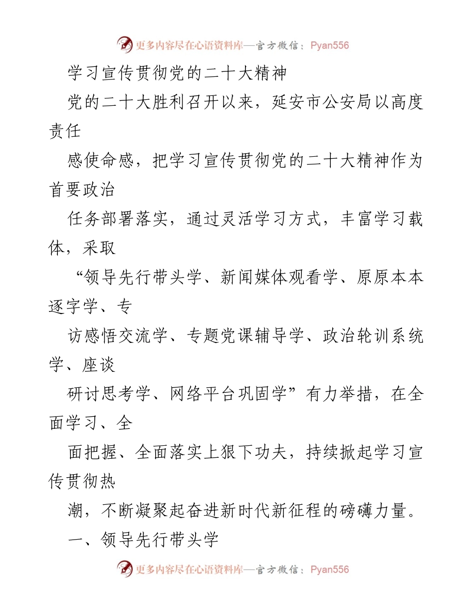 [发言] 学习宣传贯彻党的二十大精神 - 延安市公安局学习宣传贯彻党的二十大精神的多元举措.docx_第1页