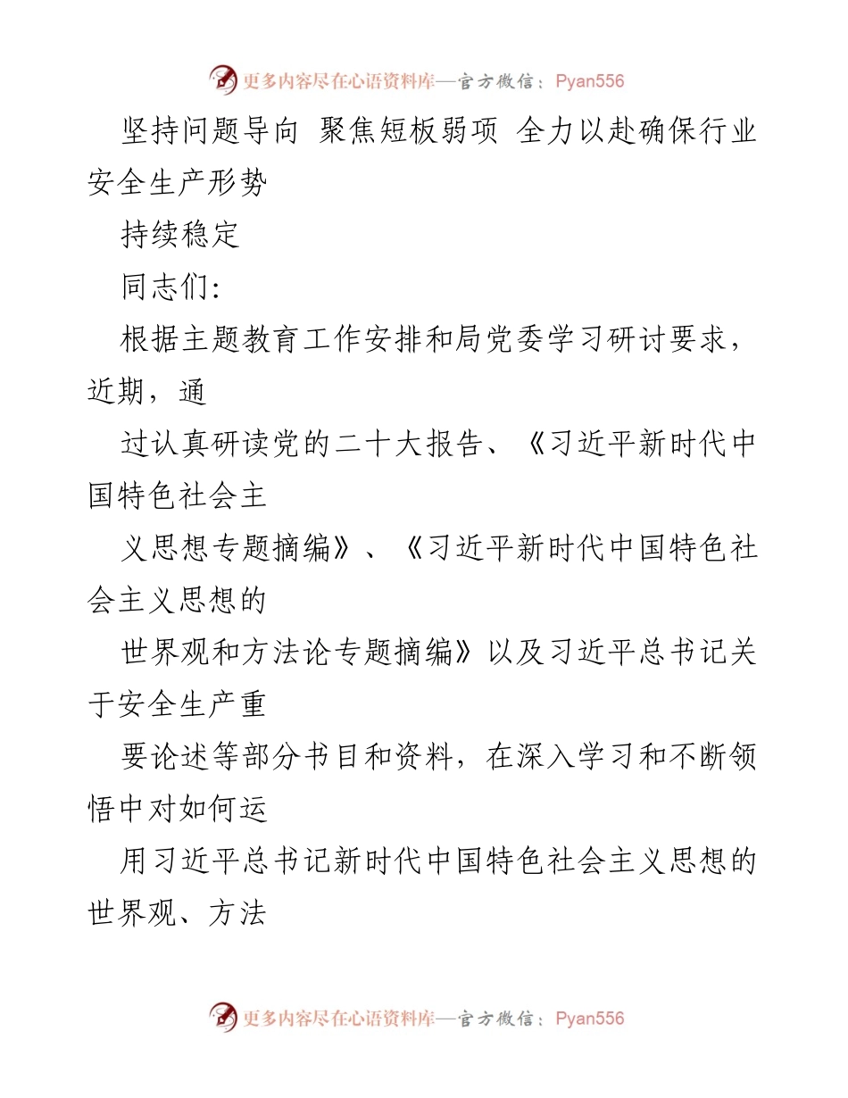 [发言] 学习研讨会 - 坚持问题导向，确保行业安全生产形势稳定.docx_第1页