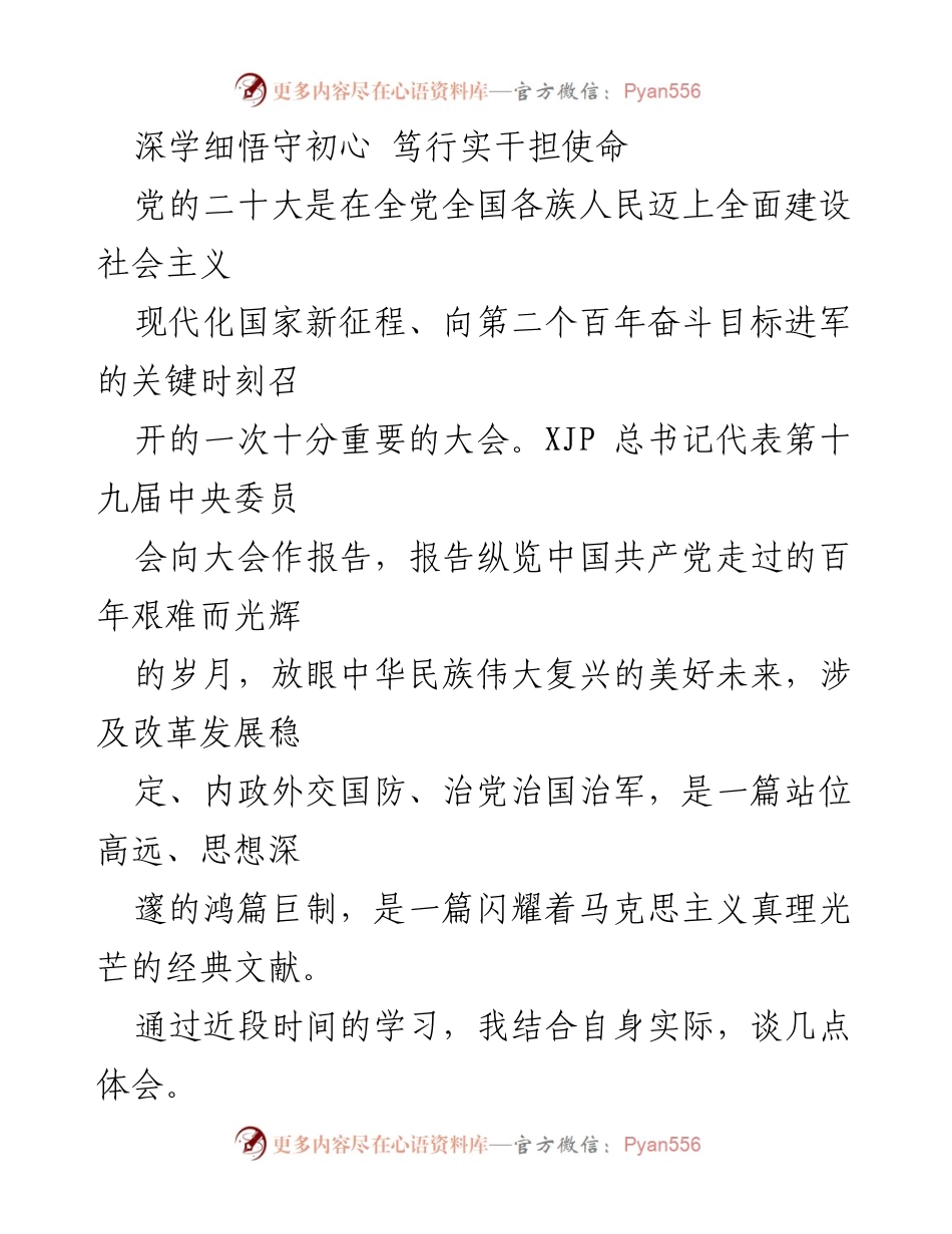 [发言] 学习交流会 - 深学细悟守初心，笃行实干担使命：学习贯彻党的二十大精神的体会.docx_第1页