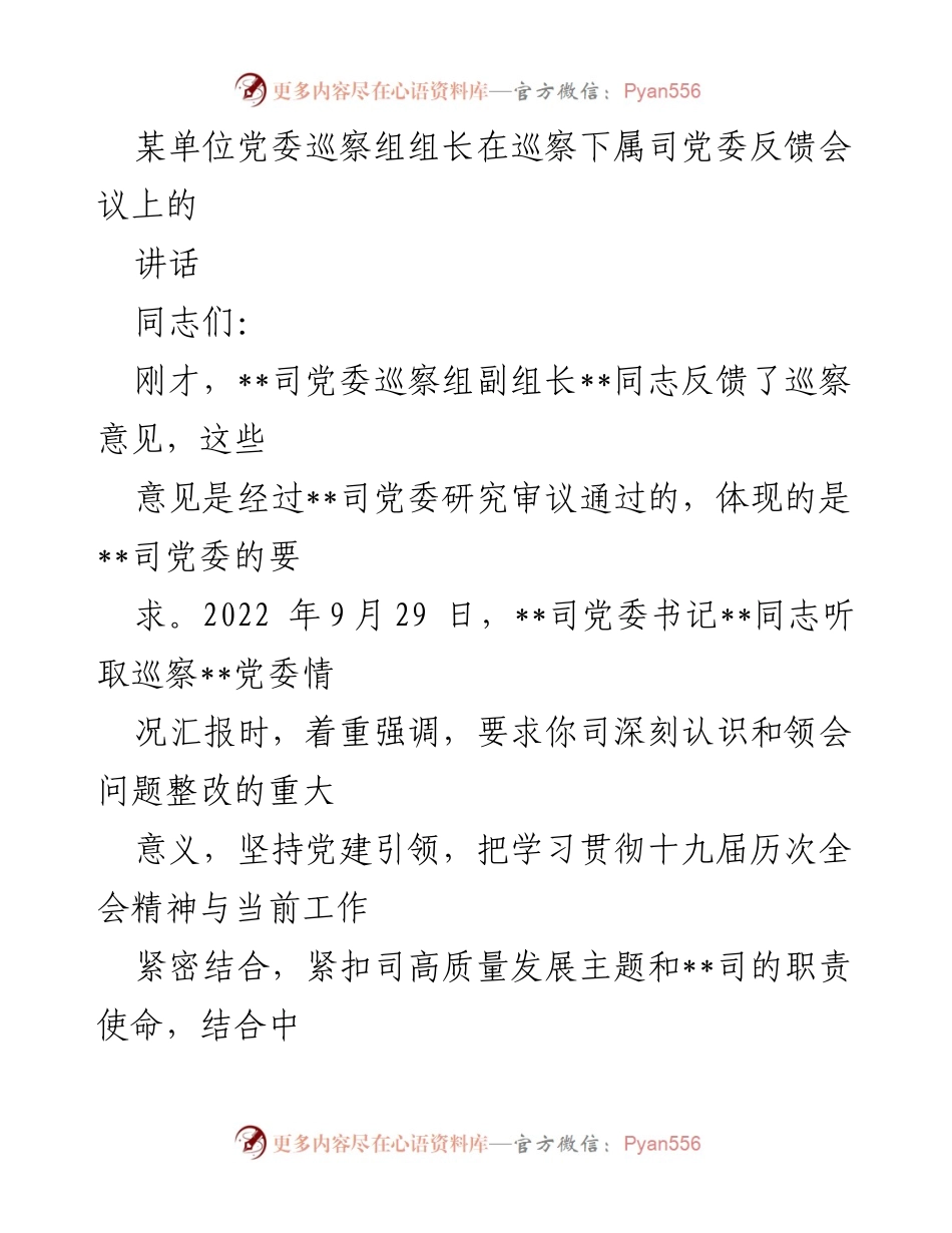 [发言] 巡察反馈会议 - 巡察整改的重要性与落实措施.docx_第1页
