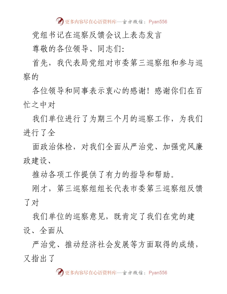 [发言] 巡察反馈会议 - 党组书记表态发言，坚决落实整改责任.docx_第1页