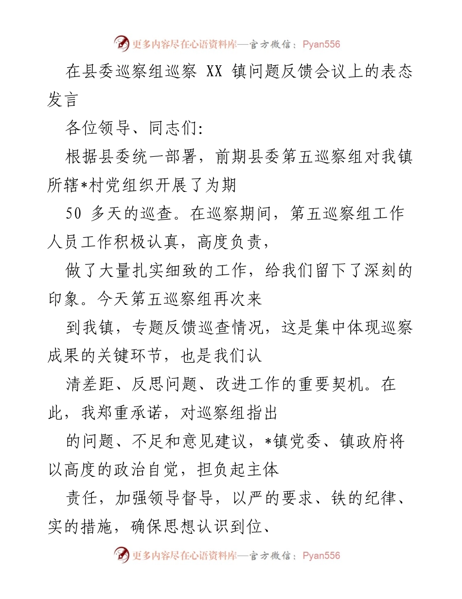 [发言] 巡察反馈会议 - 巡察整改承诺与责任落实发言.docx_第1页