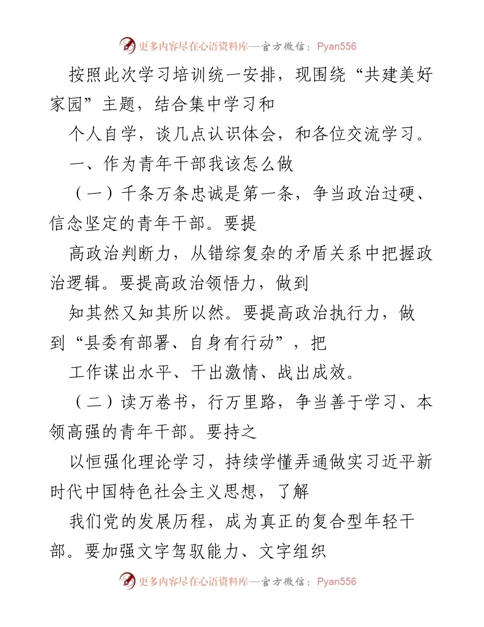 [发言] 学习培训 - 青年干部的责任与担当：共建美好家园的实践体会.docx_第1页