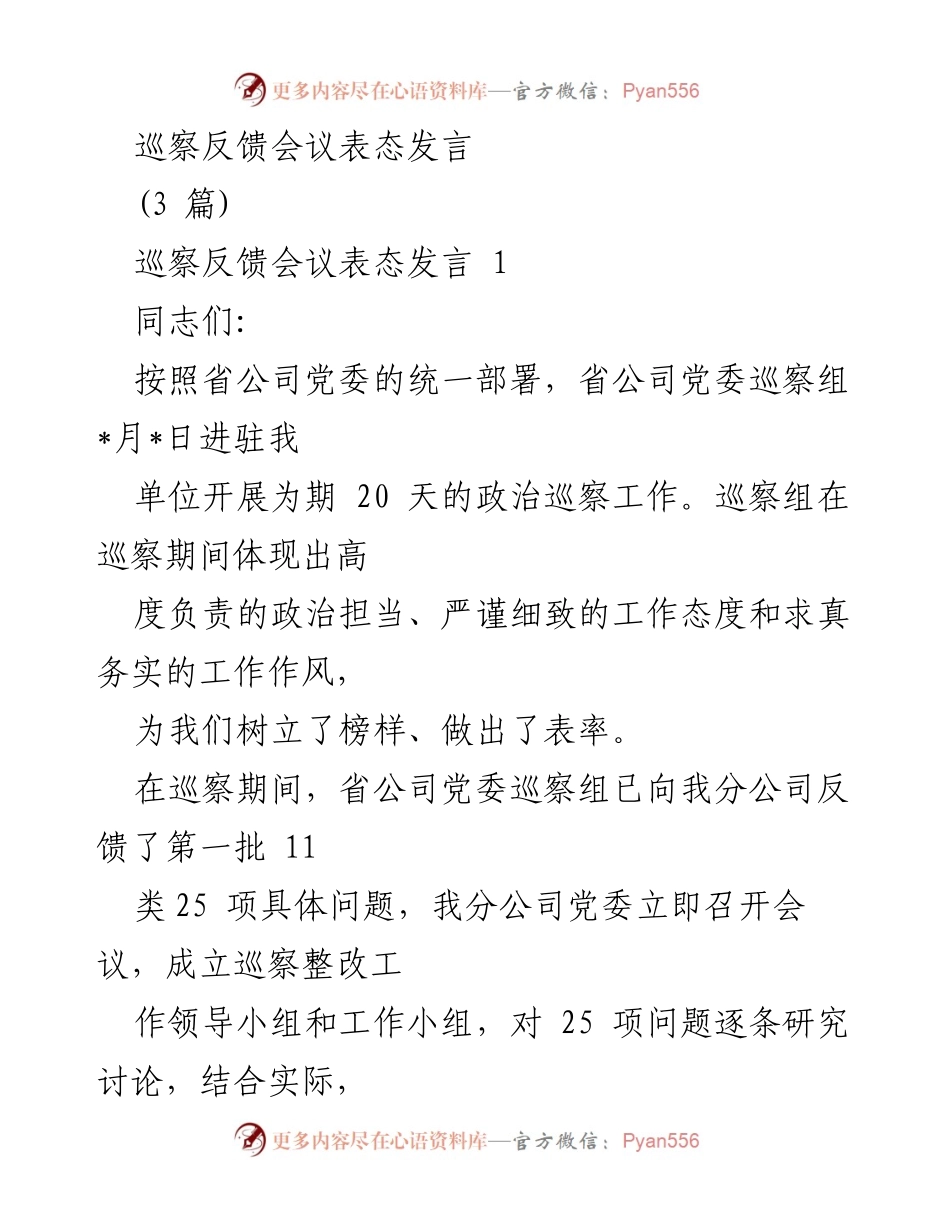 [发言] 巡察反馈会议 - 巡察整改工作表态发言_3.docx_第1页