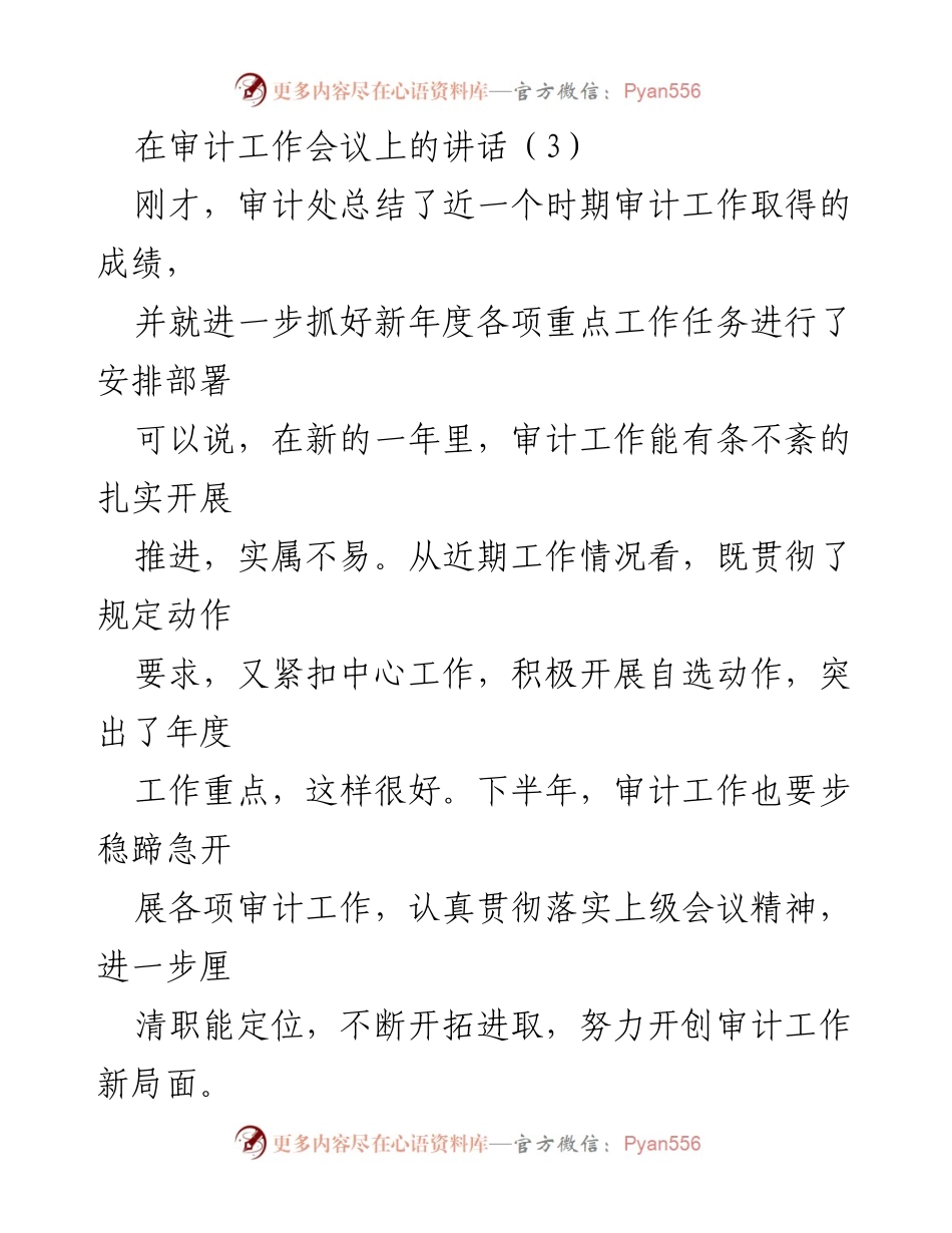 [发言] 审计工作会议 - 审计工作的新挑战与发展方向.docx_第1页
