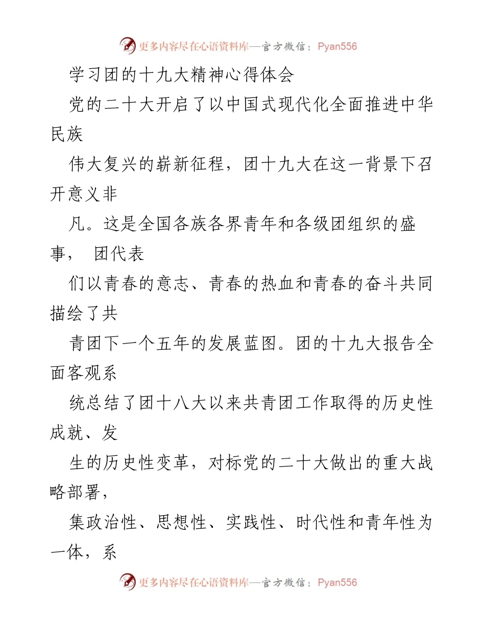 [发言] 学习团十九大精神 - 青春使命与理想信念的践行.docx_第1页