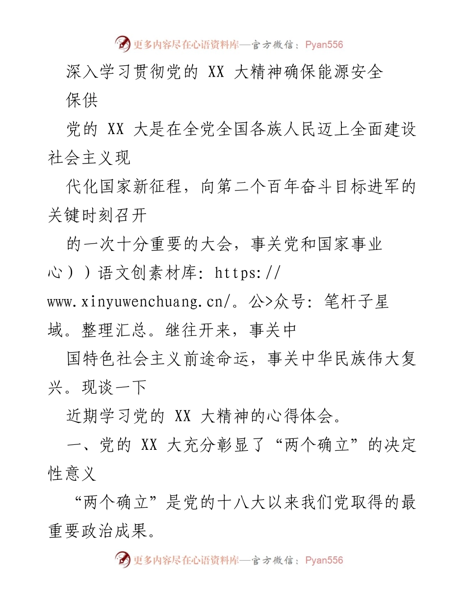 [发言] 学习交流会 - 深入学习党的 XX 大精神，确保能源安全与发展.docx_第1页