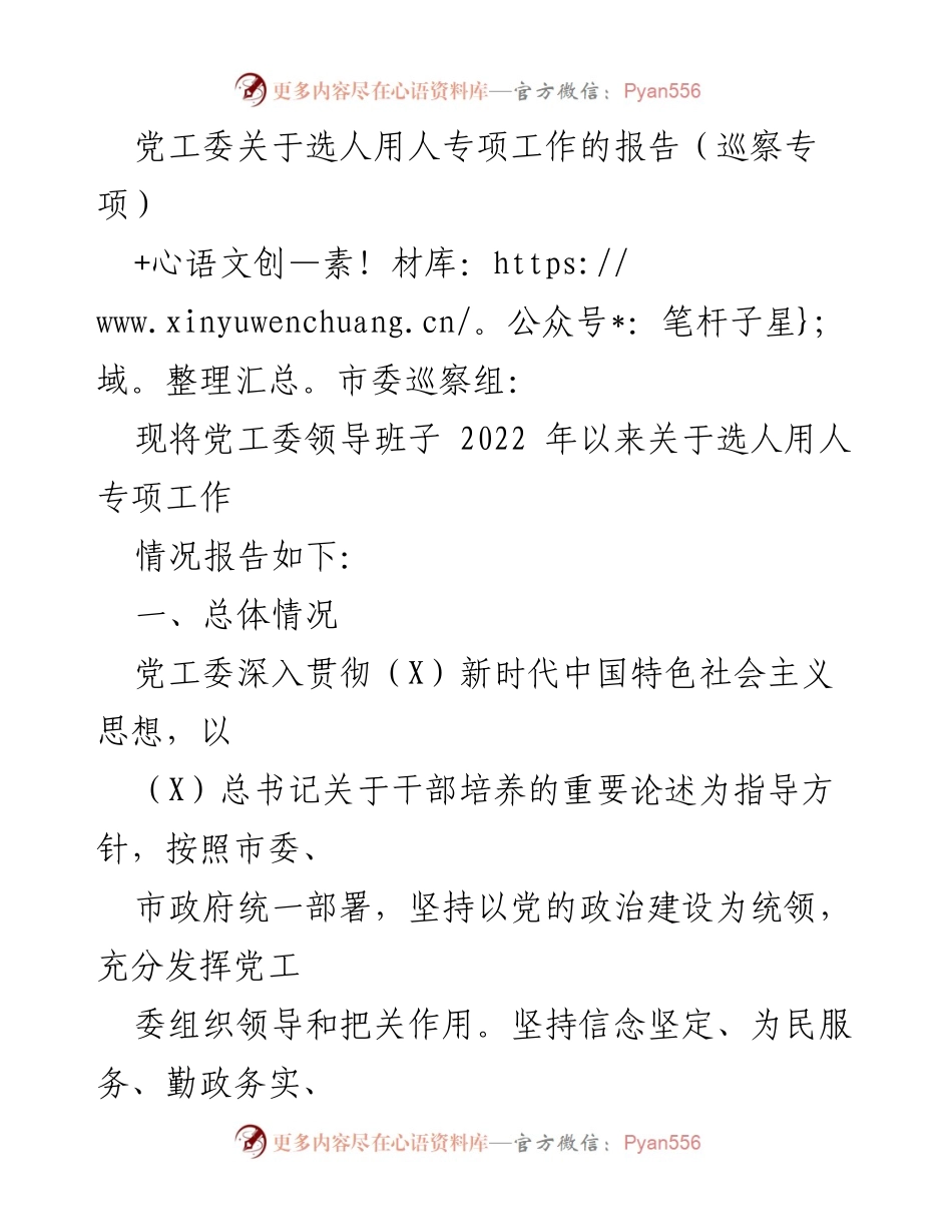 [发言] 巡察专项工作会议 - 党工委关于选人用人专项工作的报告.docx_第1页