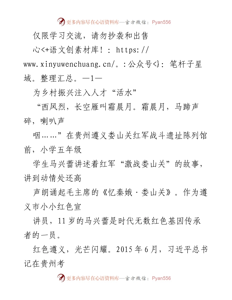 [发言] 学习交流 - 传承红色基因，点燃乡村振兴的活水.docx_第1页