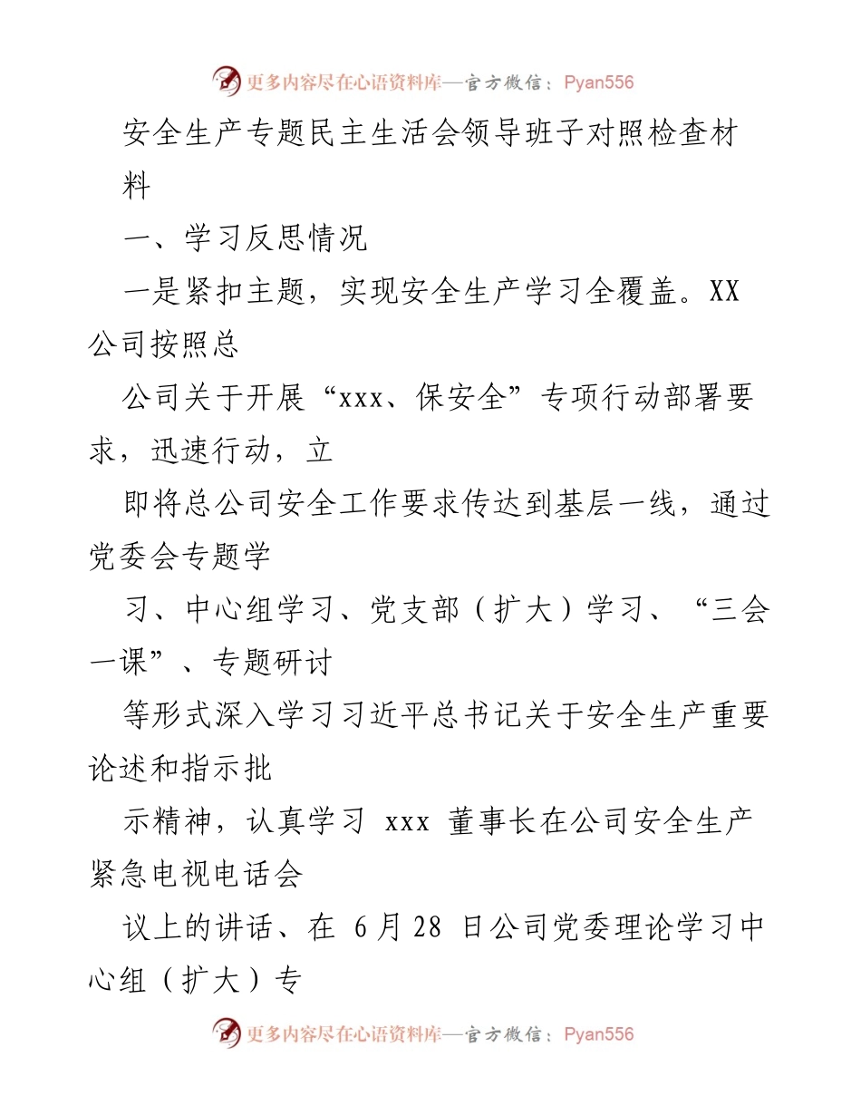[发言] 安全生产专题民主生活会 - 安全生产学习与反思的全面检视.docx_第1页