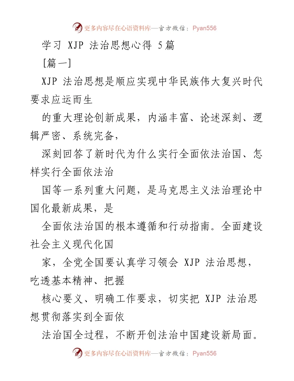 [发言] 学习交流会 - 深入理解XJP法治思想的核心要义与实践路径.docx_第1页