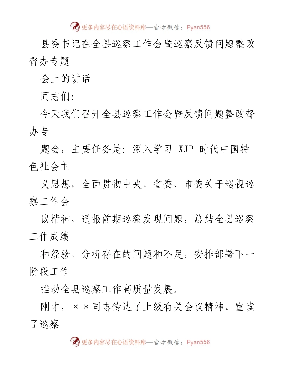 [发言] 巡察工作会 - 强化巡察整改，推动高质量发展.docx_第1页