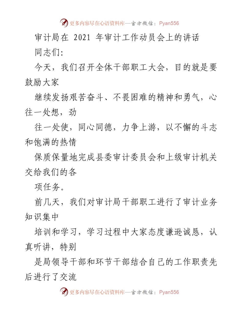 [发言] 审计工作动员会 - 2021年审计工作动员讲话.docx_第1页