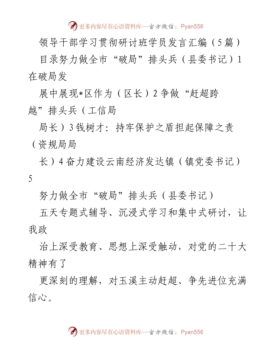 [发言] 学习贯彻研讨班 - 领导干部发言汇编：奋力破局，争当排头兵.docx_第1页