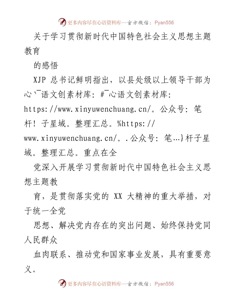 [发言] 学习贯彻新时代中国特色社会主义思想主题教育 - 年轻干部的使命与担当.docx_第1页