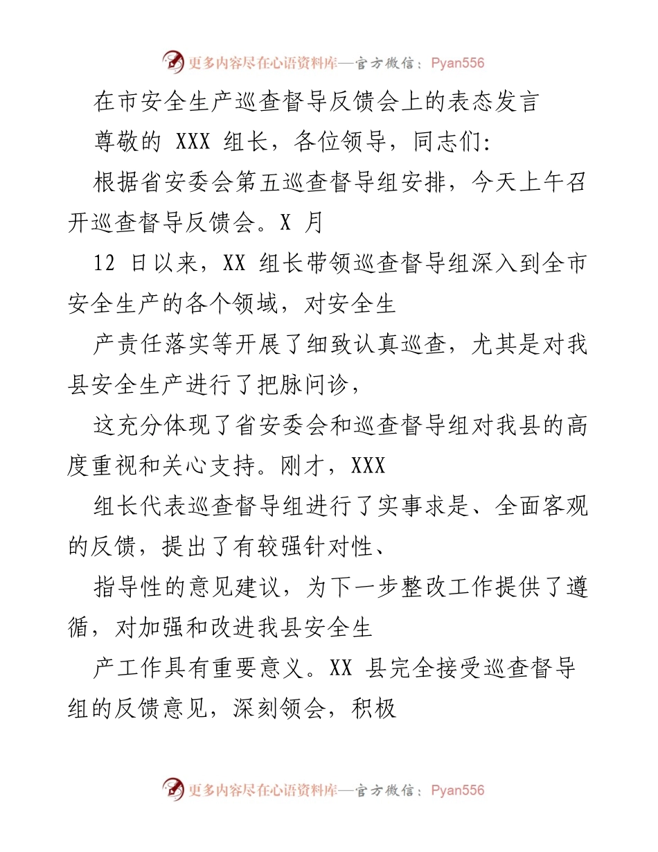 [发言] 安全生产巡查督导反馈会 - 深入整改，确保安全生产责任落实.docx_第1页