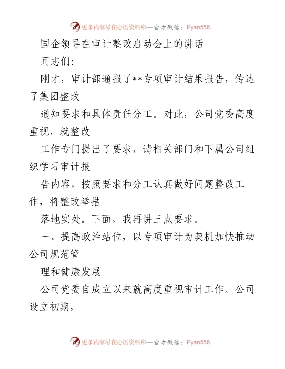 [发言] 审计整改启动会 - 强化审计整改责任，推动公司健康发展.docx_第1页