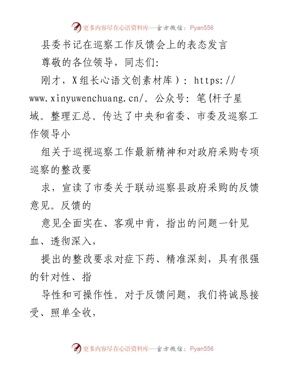 [发言] 巡察工作反馈会 - 县委书记关于政府采购专项巡察整改的表态发言.docx_第1页