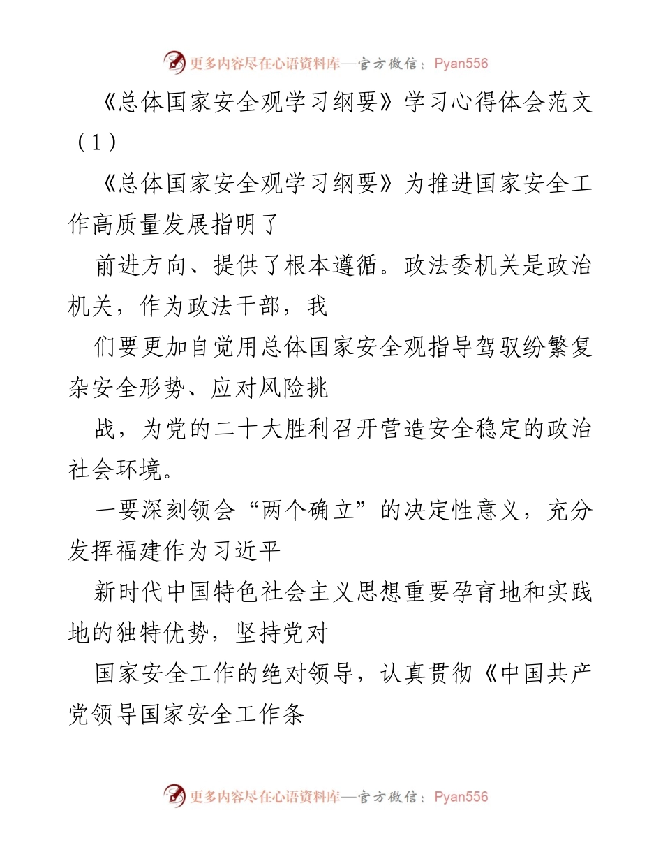 [发言] 学习交流会 - 总体国家安全观学习心得分享.docx_第1页