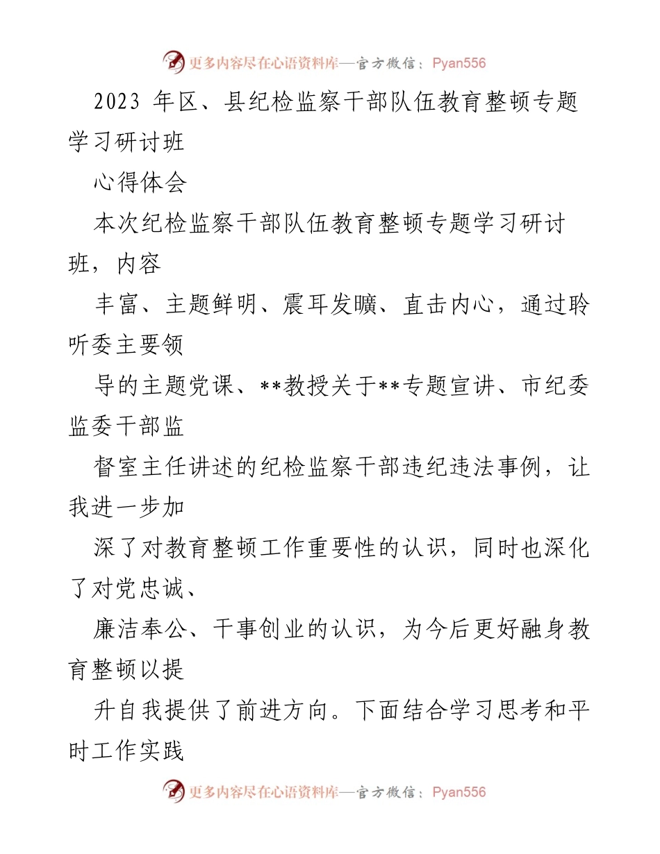 [发言] 学习研讨班 - 深化认识：纪检监察干部教育整顿的重要性与实践体会.docx_第1页