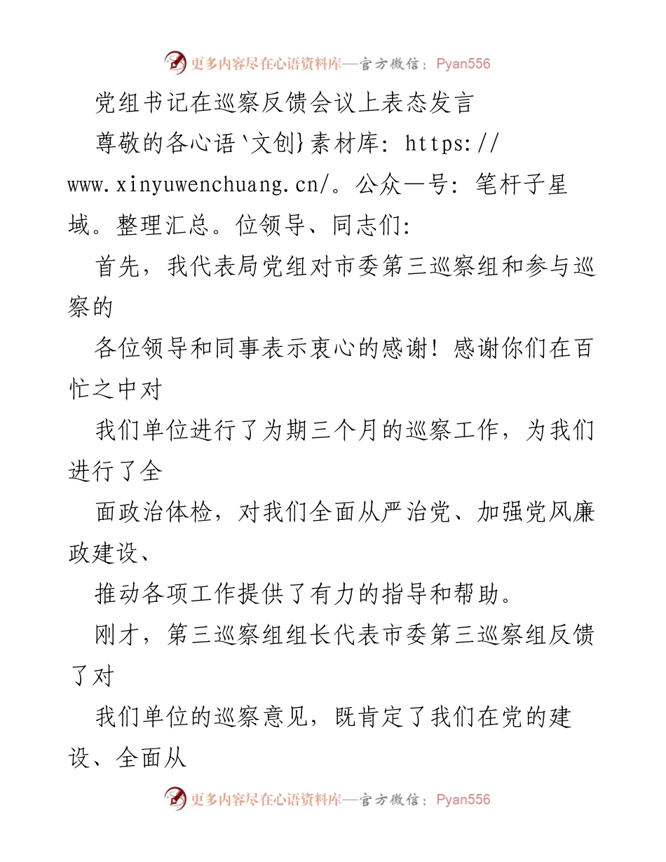 [发言] 巡察反馈会议 - 党组书记表态发言：坚决落实整改责任，推动制度建设与成果运用.docx_第1页