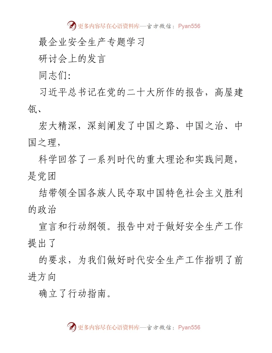 [发言] 安全生产专题学习研讨会 - 深入学习贯彻党的二十大精神，推动安全生产工作落实_2.docx_第1页