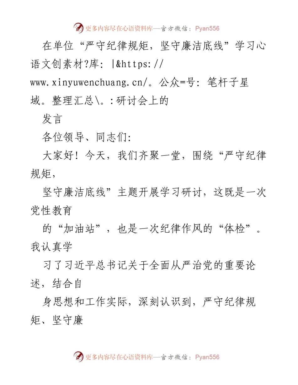 [发言] 学习研讨会 - 严守纪律规矩，坚守廉洁底线的重要性与实践要求.docx_第1页