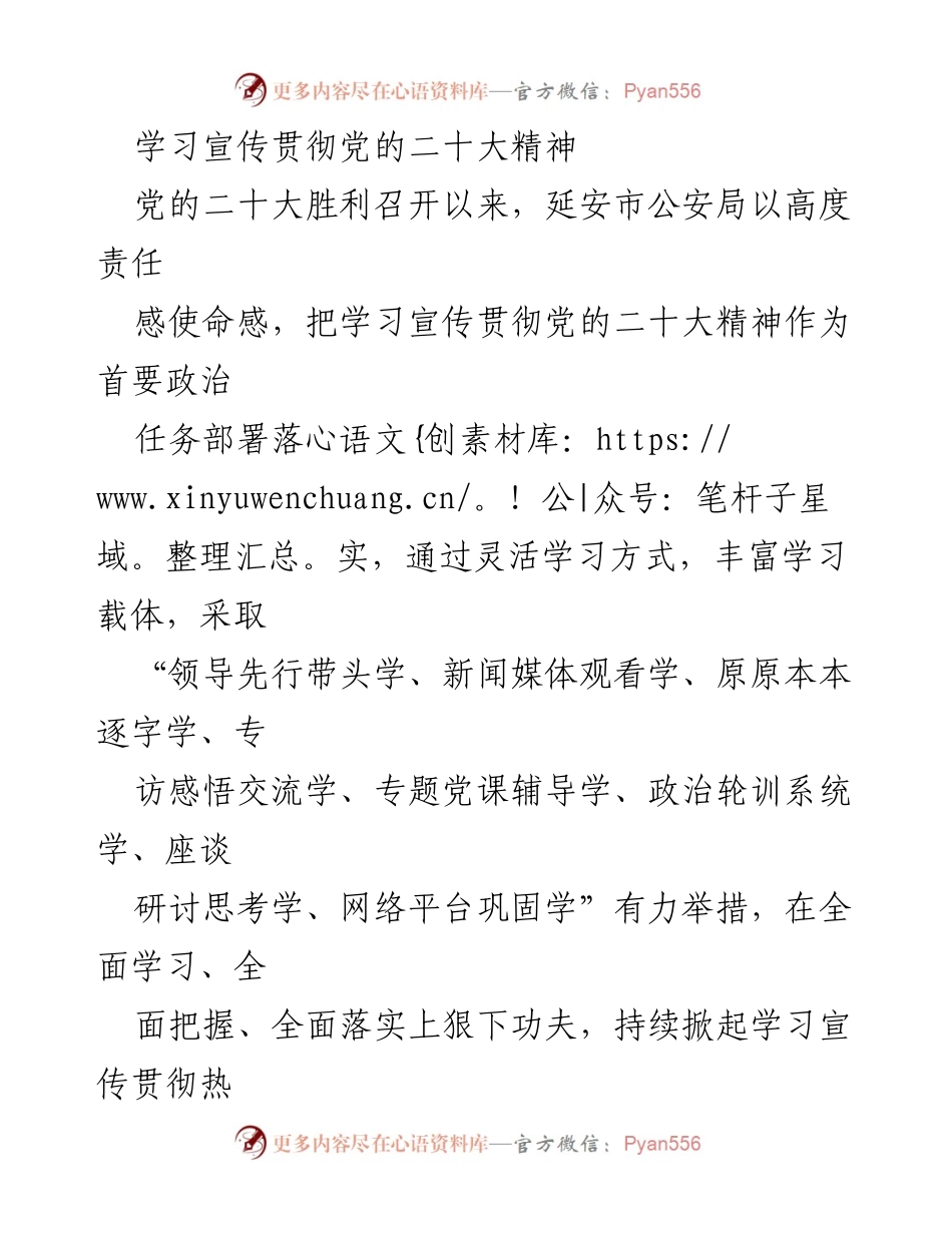 [发言] 学习宣传贯彻党的二十大精神 - 延安市公安局深入学习宣传贯彻党的二十大精神的有效举措.docx_第1页
