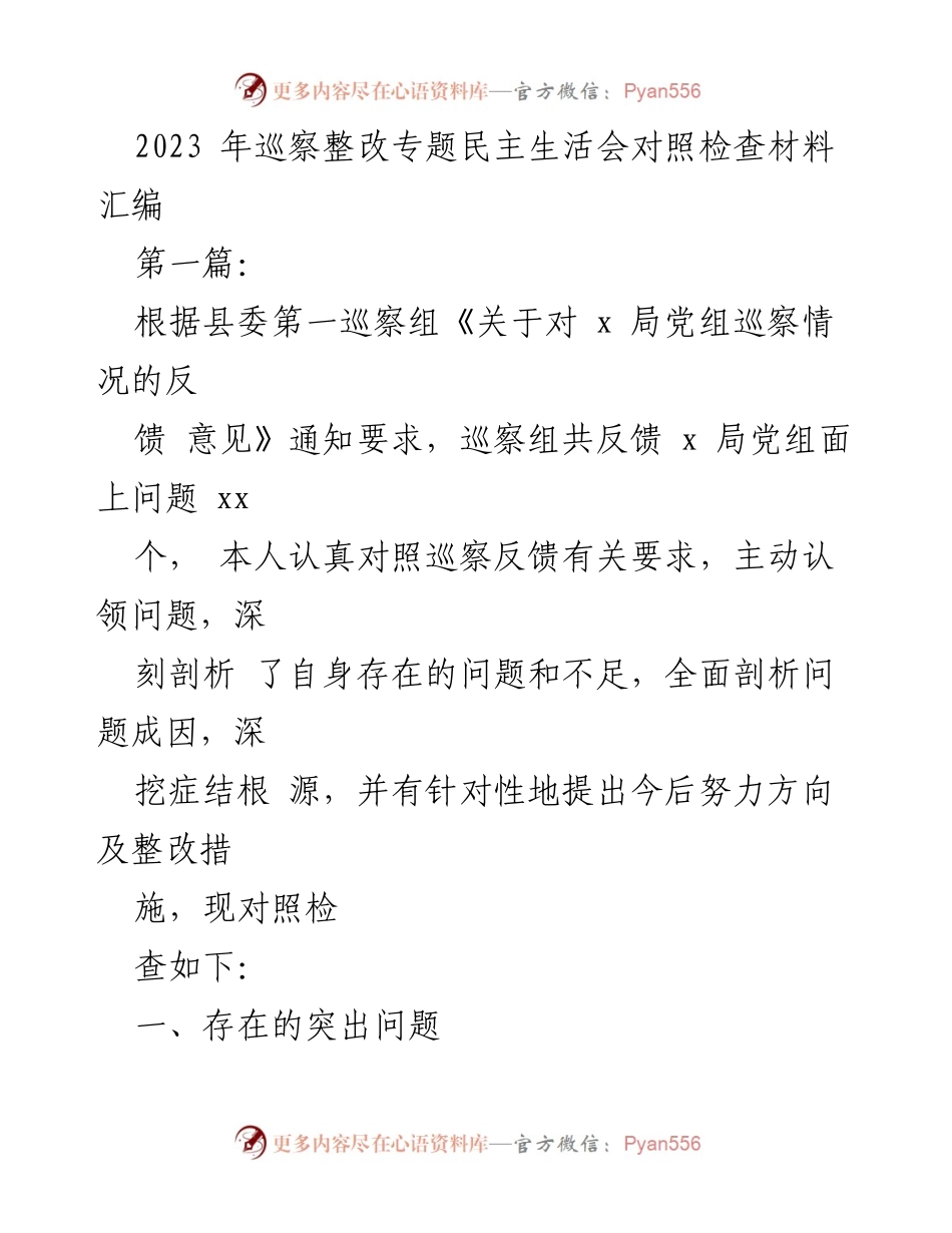 [发言] 巡察整改专题民主生活会 - 2023年巡察整改自查与反思报告.docx_第1页