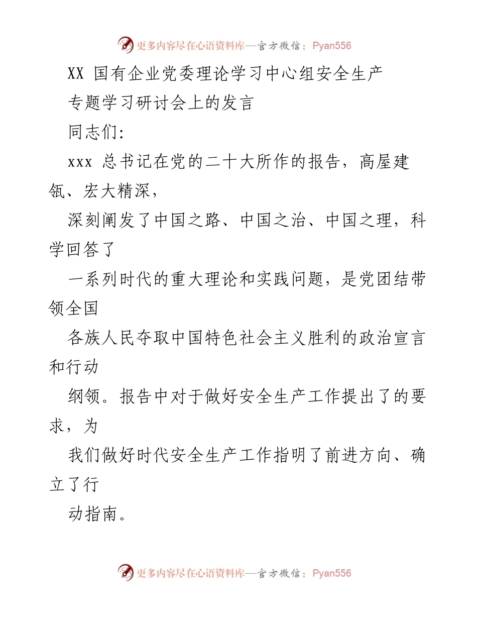 [发言] 安全生产专题学习研讨会 - 深入学习贯彻党的二十大精神，推动安全生产工作落实.docx_第1页