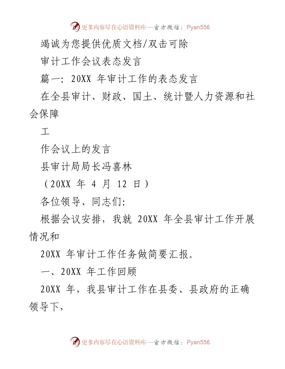 [发言] 审计工作会议 - 20XX年全县审计工作总结与任务展望.docx_第1页