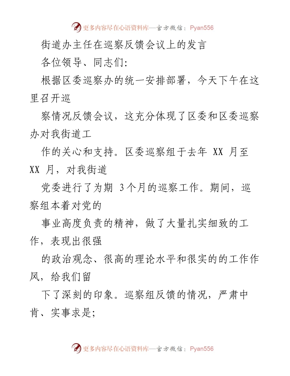 [发言] 巡察反馈会议 - 街道办主任的整改承诺与措施_1.docx_第1页