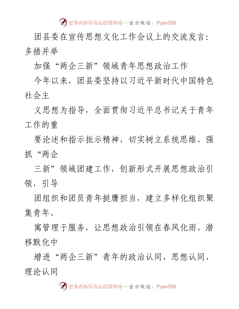[发言] 宣传思想文化工作会议 - 加强“两企三新”领域青年思想政治工作.docx_第1页