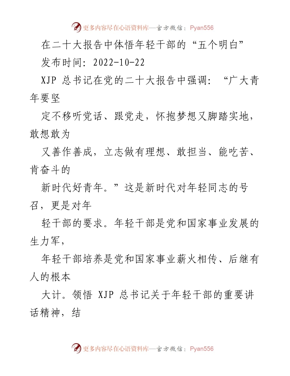 [发言] 学习贯彻二十大精神 - 年轻干部应做到的“五个明白”.docx_第1页