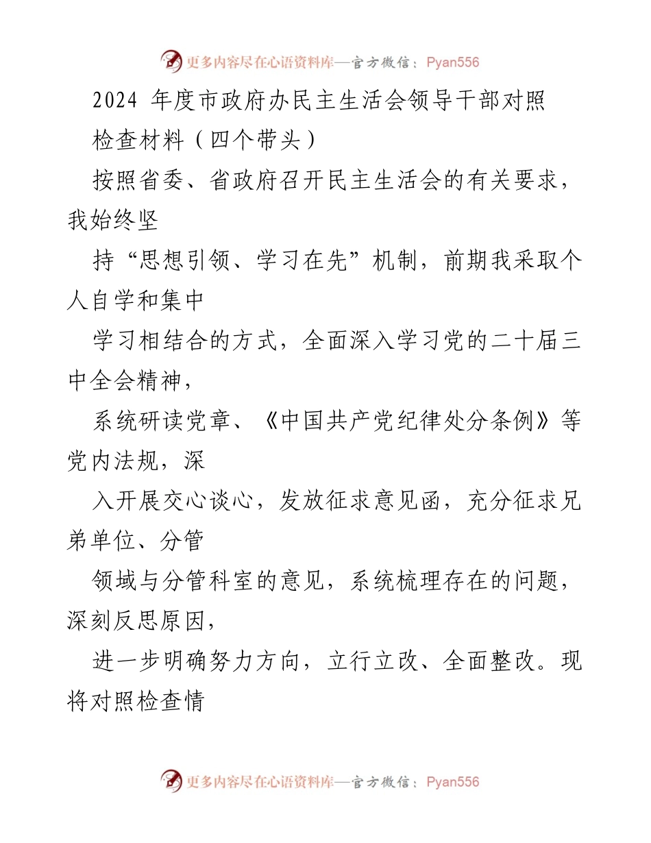 [发言] 市政府办民主生活会 - 2024年度领导干部对照检查材料总结.docx_第1页