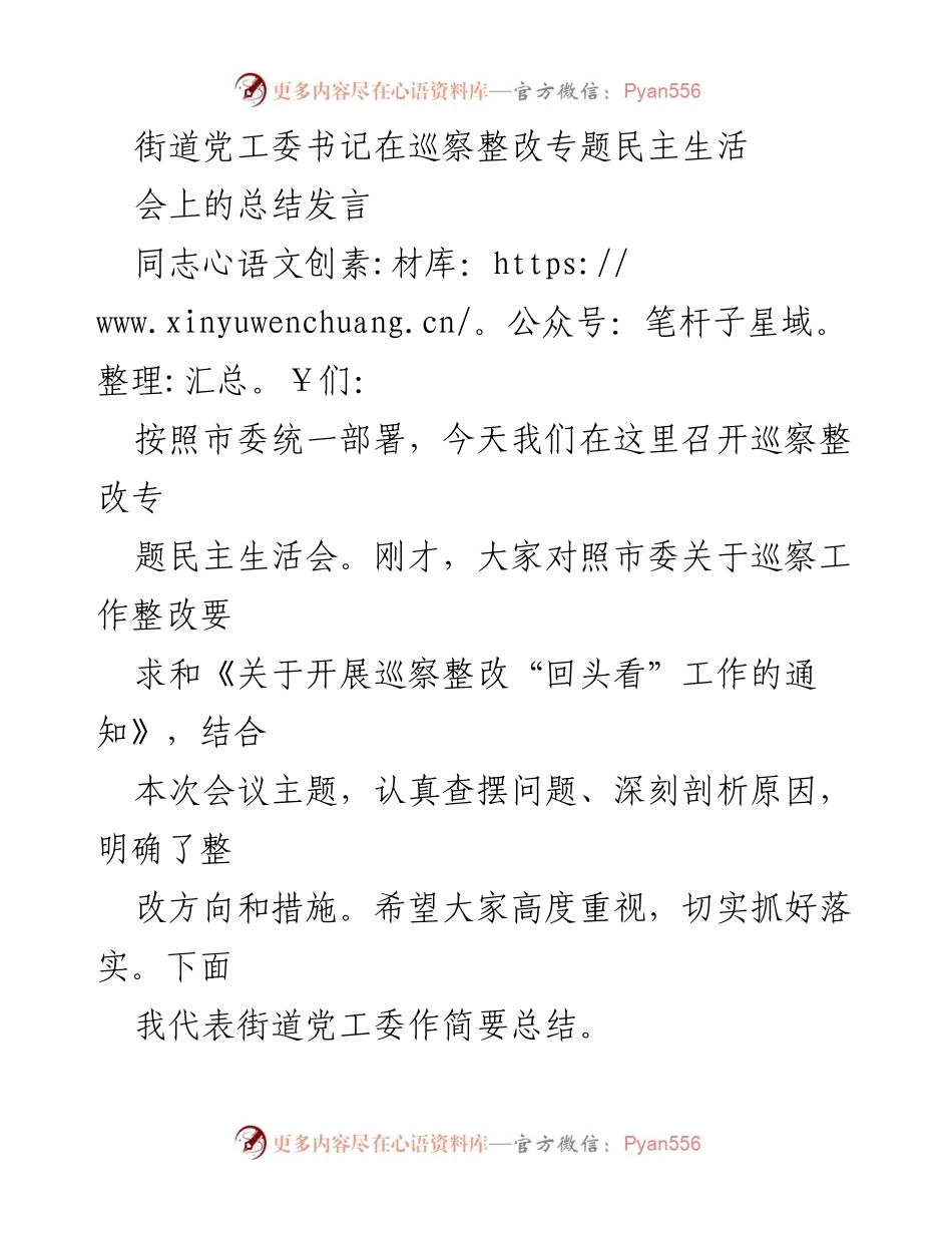 [发言] 巡察整改专题民主生活会 - 巡察整改工作总结与落实措施_1.docx_第1页