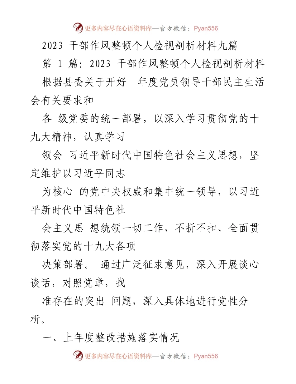 [发言] 年度党员领导干部民主生活会 - 2023 干部作风整顿个人检视剖析材料.docx_第1页