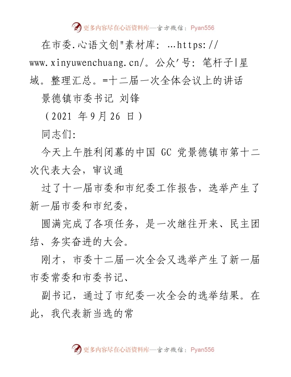 [发言] 市委全体会议 - 新一届市委的使命与责任_2.docx_第1页
