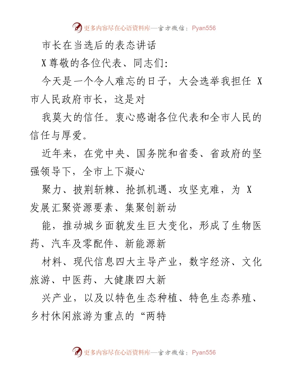 [发言] 市长当选后的表态 - 新市长的使命与发展愿景.docx_第1页