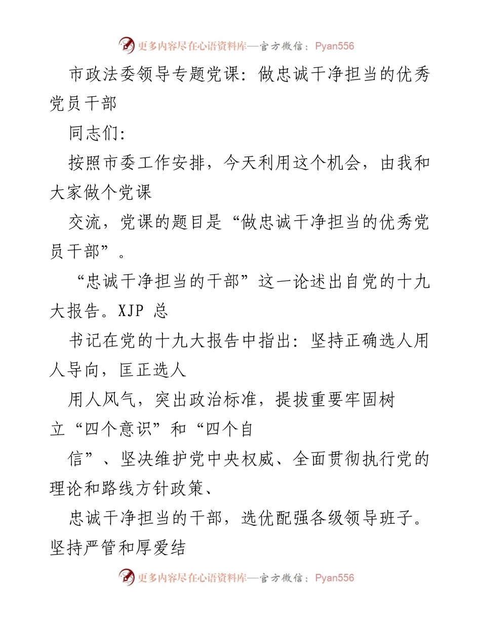 [发言] 市政法委领导专题党课 - 做忠诚干净担当的优秀党员干部.docx_第1页