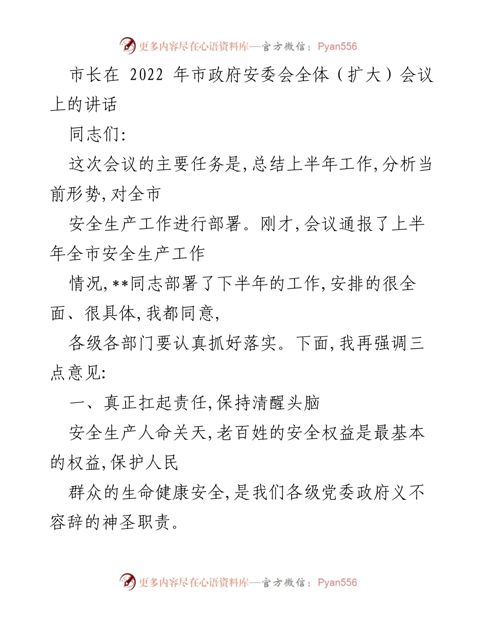[发言] 市政府安委会全体（扩大）会议 - 强调安全生产责任与形势分析.docx_第1页