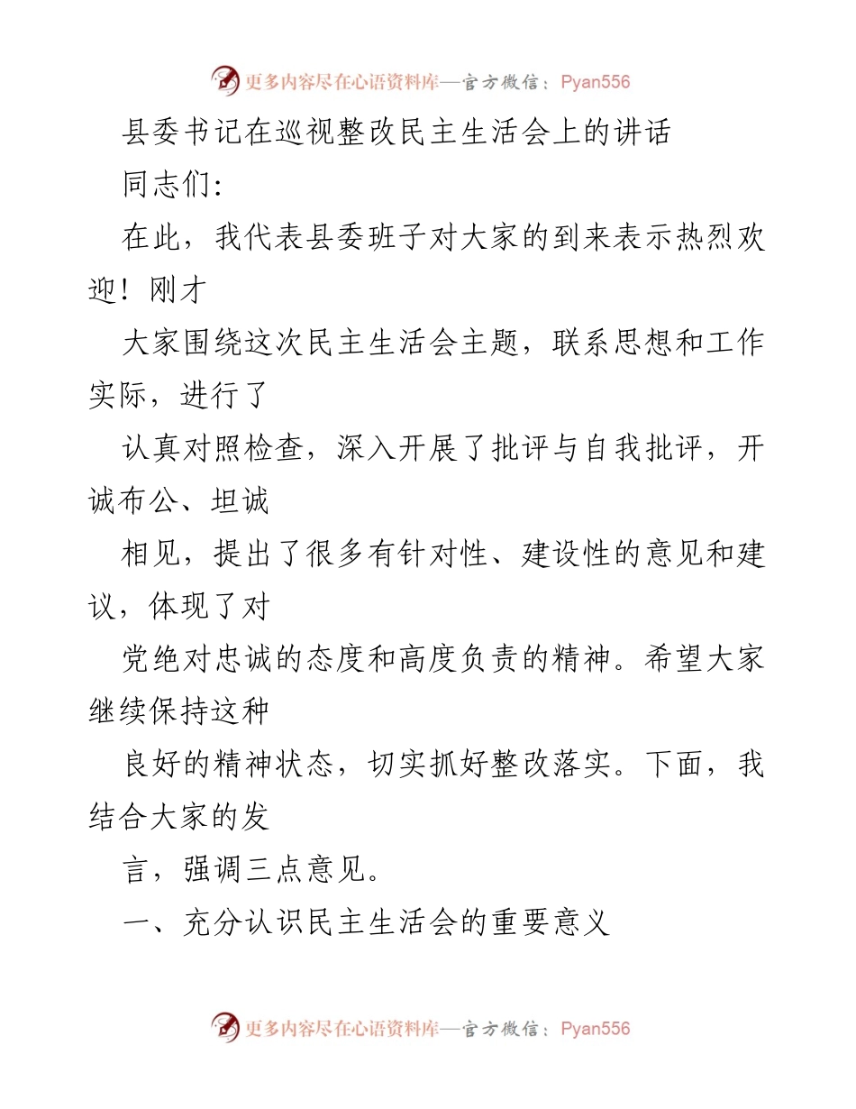 [发言] 巡视整改民主生活会 - 强调整改落实的重要性与责任担当.docx_第1页