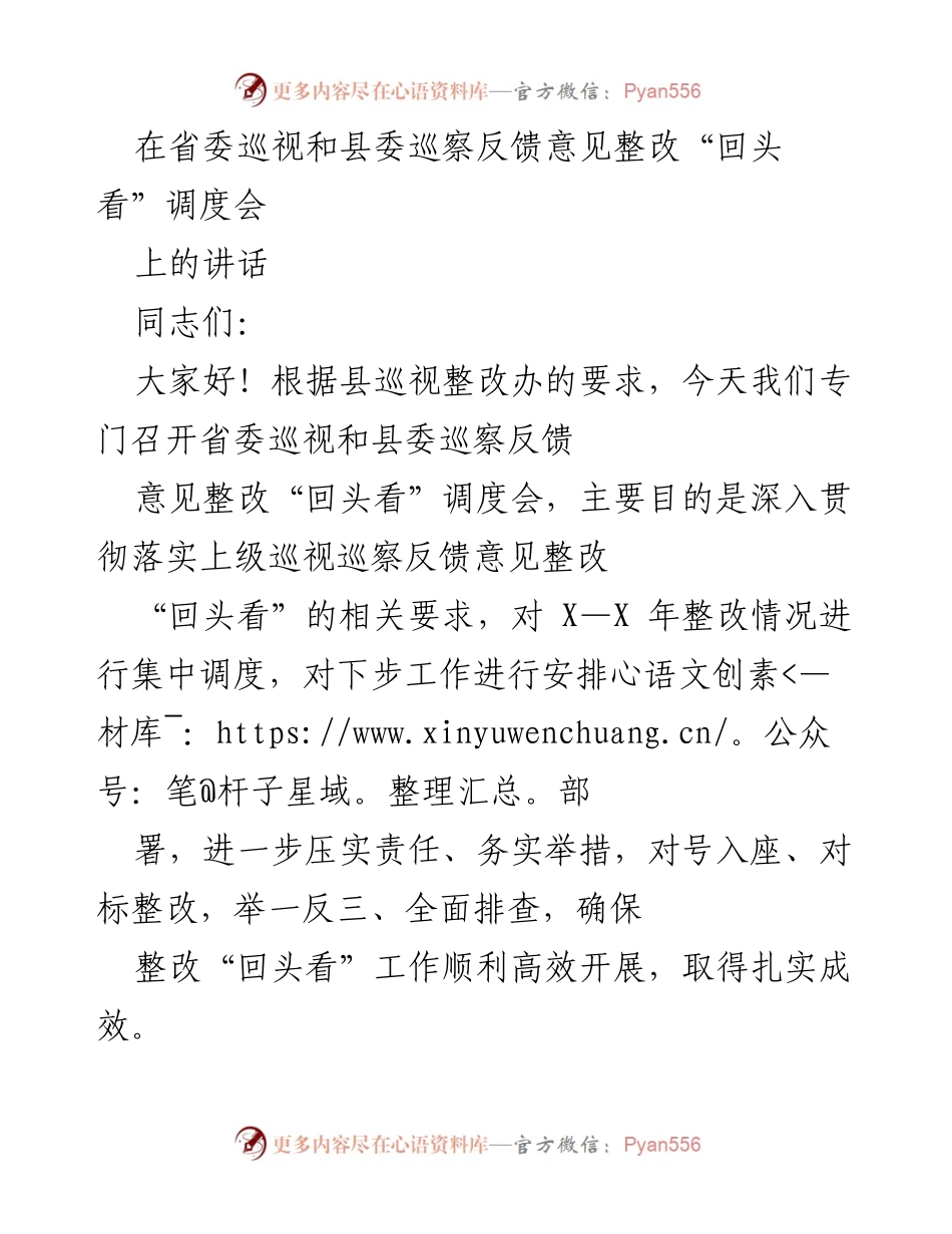 [发言] 巡察整改调度会 - 确保巡视整改“回头看”工作高效开展.docx_第1页