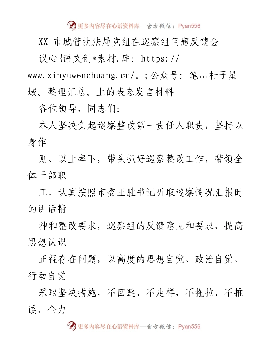 [发言] 巡察组问题反馈会 - 坚决落实巡察整改责任，推动城市管理工作提升.docx_第1页