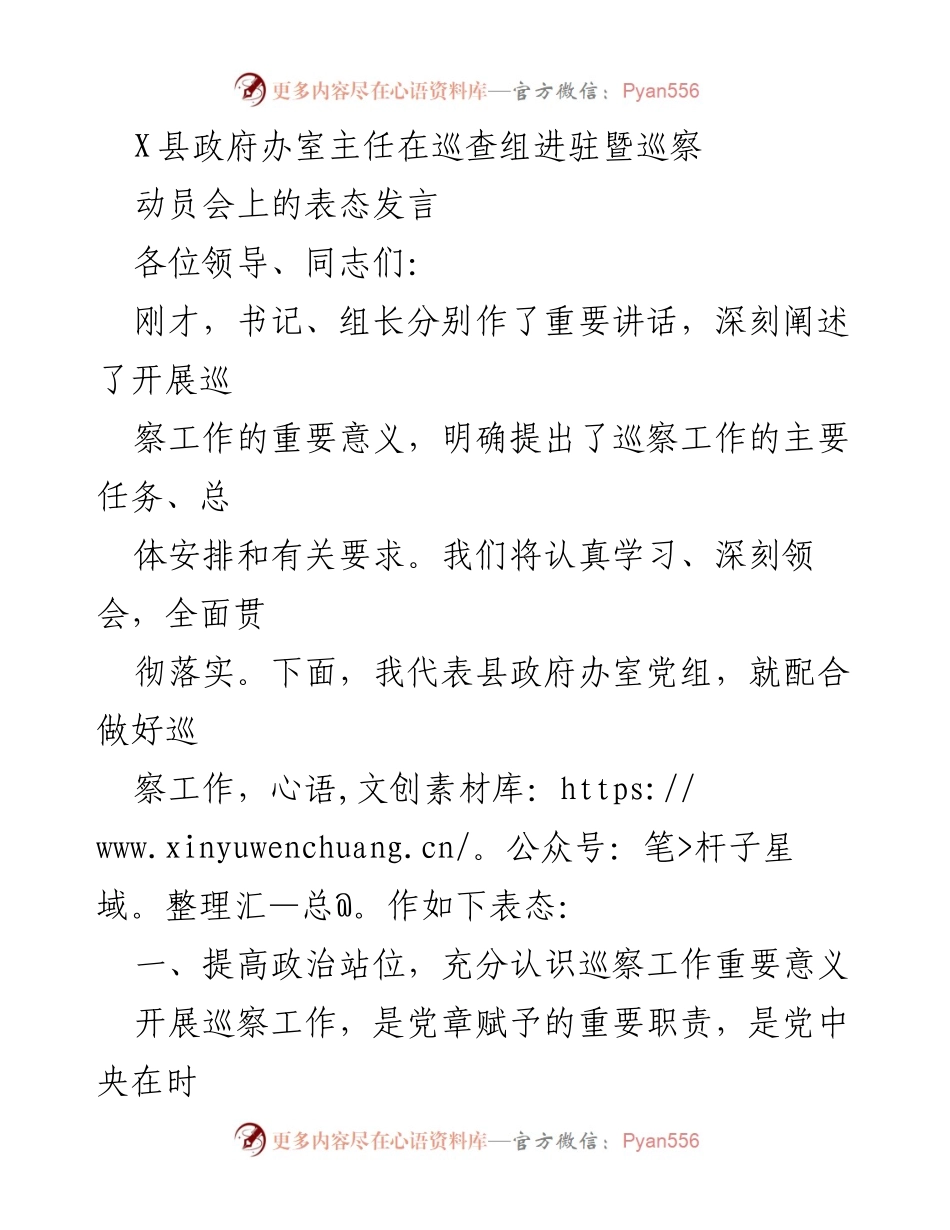 [发言] 巡查组进驻暨巡察动员会 - 县政府办室主任表态发言：全力支持巡察工作，提升政治站位与整改能力.docx_第1页