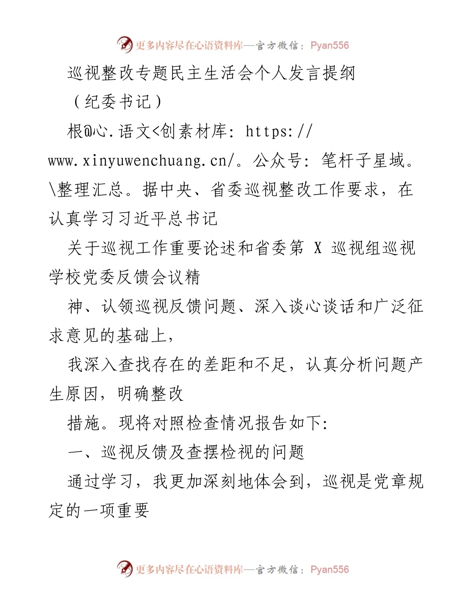 [发言] 巡视整改专题民主生活会 - 巡视整改工作中的个人问题与整改措施分析.docx_第1页