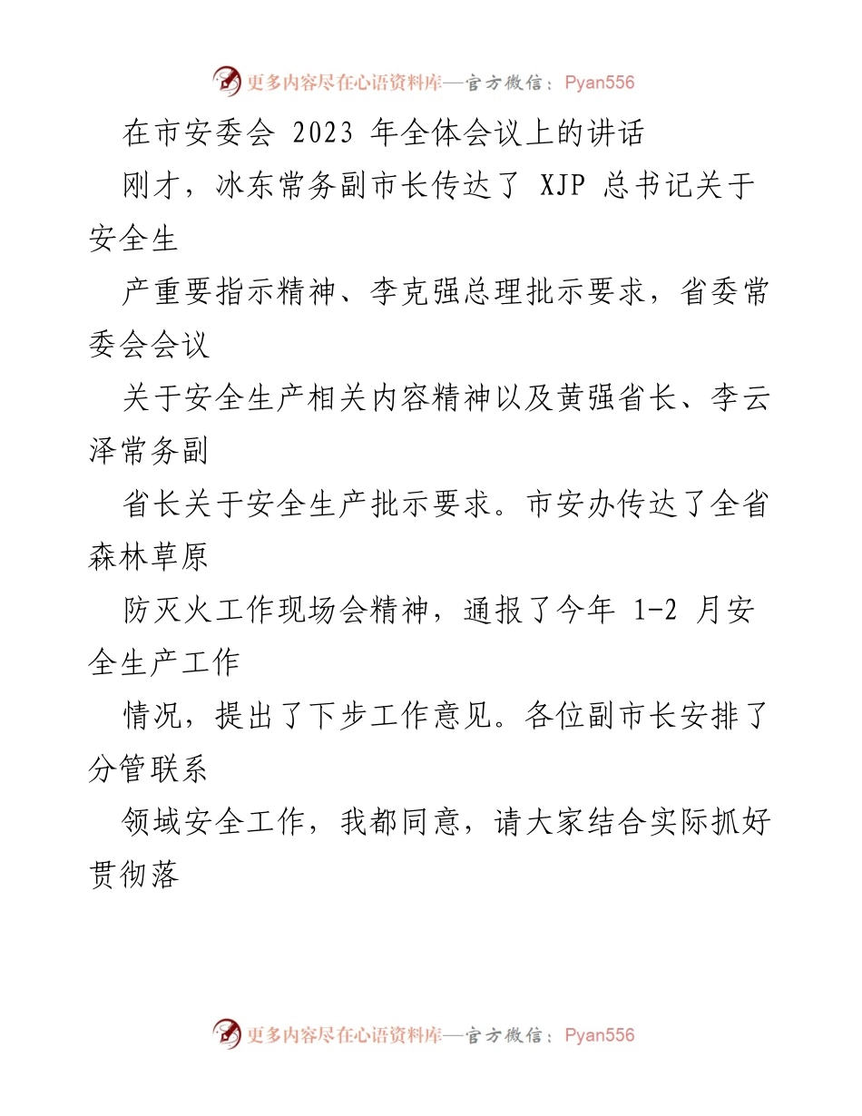 [发言] 市安委会全体会议 - 加强安全生产责任，防范化解风险隐患_1.docx_第1页