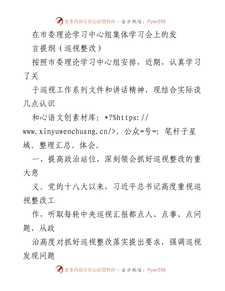 [发言] 市委理论学习中心组集体学习会 - 深刻领会巡视整改的重要性与实施路径.docx_第1页